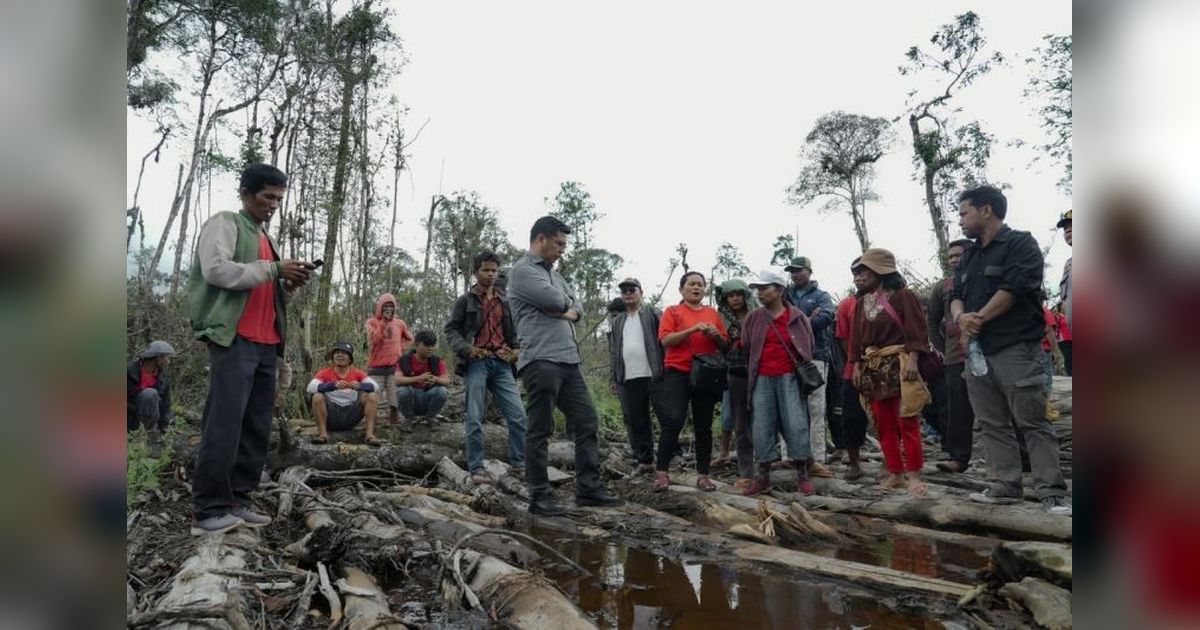 Anggota DPR Desak Penghentian Deforestasi Hutan Sumatera Utara di Dairi: Mengapa Ini Mendesak?