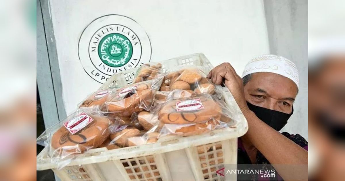 Tahukah Anda? Sertifikasi Halal Bukan Sekadar Simbol Agama, Tapi Jaminan Kualitas Global!