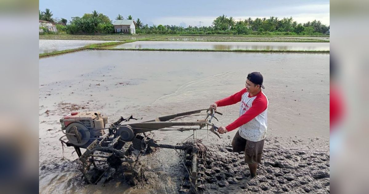Terungkap! Indonesia Surplus Beras 4 Juta Ton, Percepatan Swasembada Pangan Jadi Kunci Kesejahteraan Petani