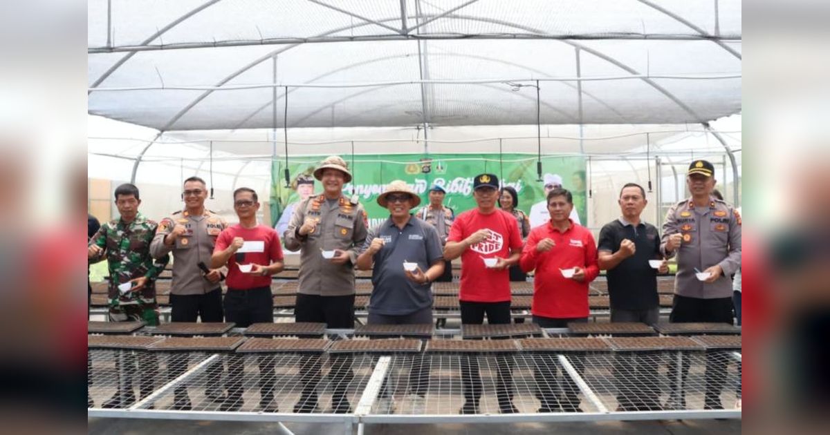 Sinergi Pemkab dan Polres Jaga Ketahanan Pangan Tabanan: Lumbung Pangan Bali Antisipasi Inflasi Cabai