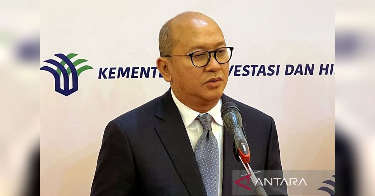 Tahukah Anda, Ini Kali Pertama WNA Duduki Direksi BUMN? Rosan Ungkap Alasan Penunjukan Ekspatriat Garuda Indonesia untuk Transformasi Teknologi