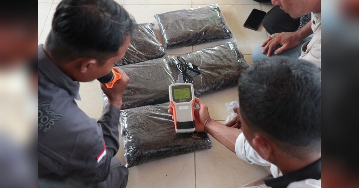 Trivia: Cabai Merah Penyumbang Inflasi, BI Gelar Pelatihan Cabai Teknologi Aceh untuk Petani