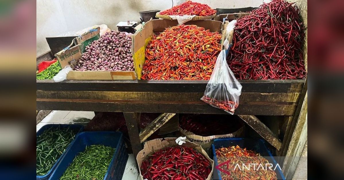 Terbaru! Harga Pangan Turun: Cabai Rawit Rp41.271/kg, Bawang Merah Ikut Merosot Tajam