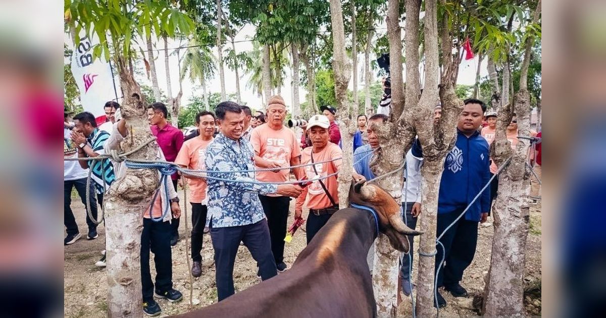 Tahukah Anda? OJK dan Bank SulutGo Perluas Akses Keuangan Gorontalo Melalui KUR Ternak Sapi