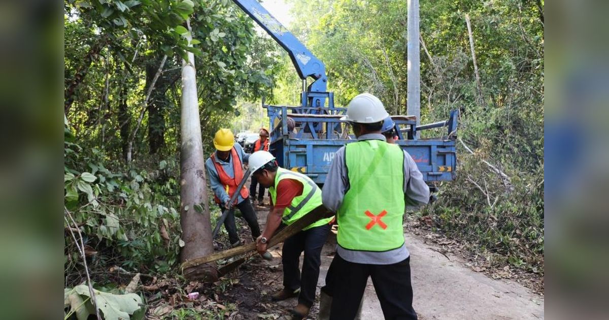 Tahukah Anda? Kejari Luwu Timur Kawal Pembangunan SUTET 275 kV Wotu-Bungku, Jamin Listrik Andal Sulawesi