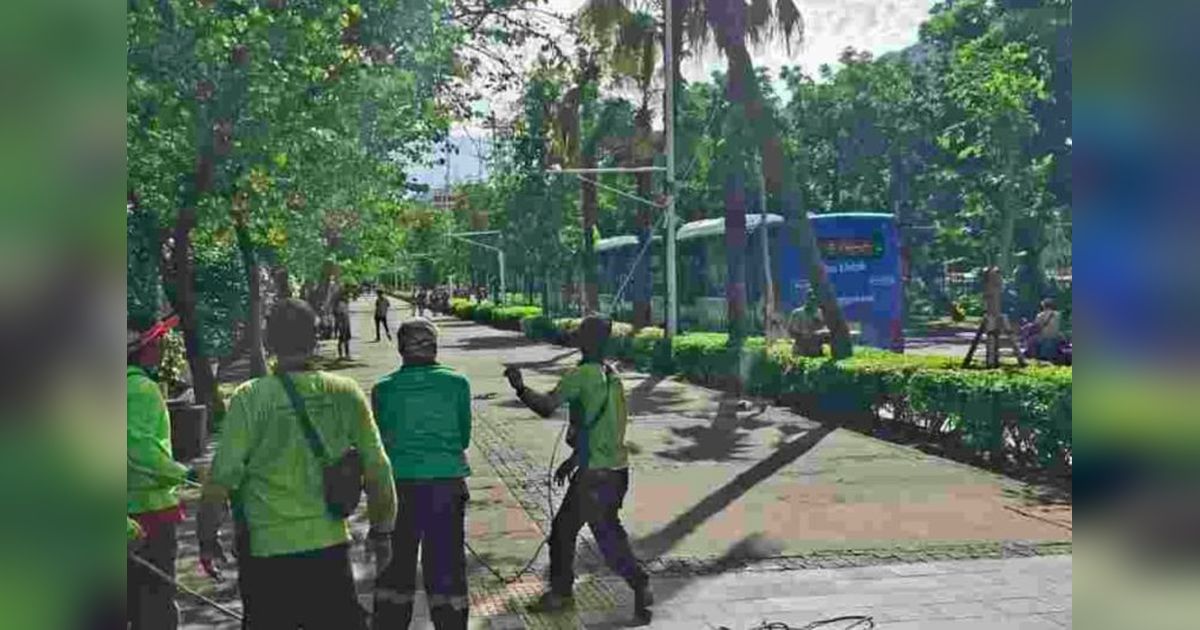 Antisipasi Cuaca Buruk, Pemprov DKI Gencarkan Peremajaan Pohon Jakarta untuk Cegah Pohon Tumbang