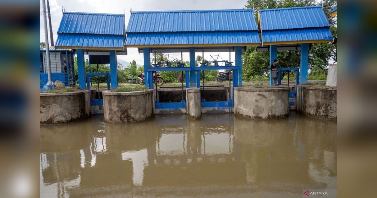 Pemkab Sigi Prioritaskan Rehabilitasi 17 Jaringan Irigasi untuk Ketahanan Pangan