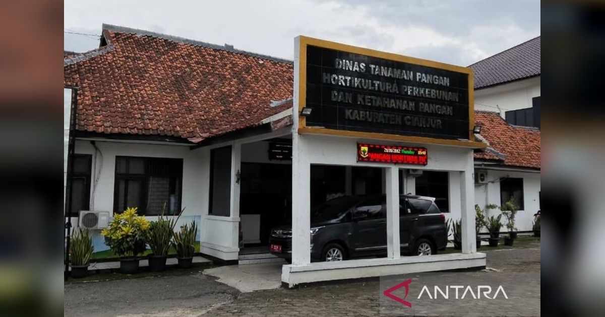 Produksi GKG Cianjur 2025 Diprediksi Melonjak 20 Persen, Capai 750 Ribu Ton