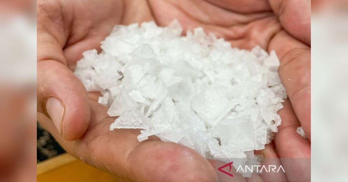 Asa Swasembada: Kisah Perjuangan Petambak Garam Cirebon di Tengah Tantangan Cuaca dan Tata Niaga