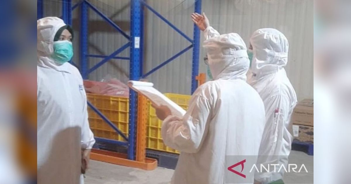 BKHIT Maluku Perketat Inspeksi Karantina Ikan, Jamin Mutu dan Keamanan Produk Perikanan