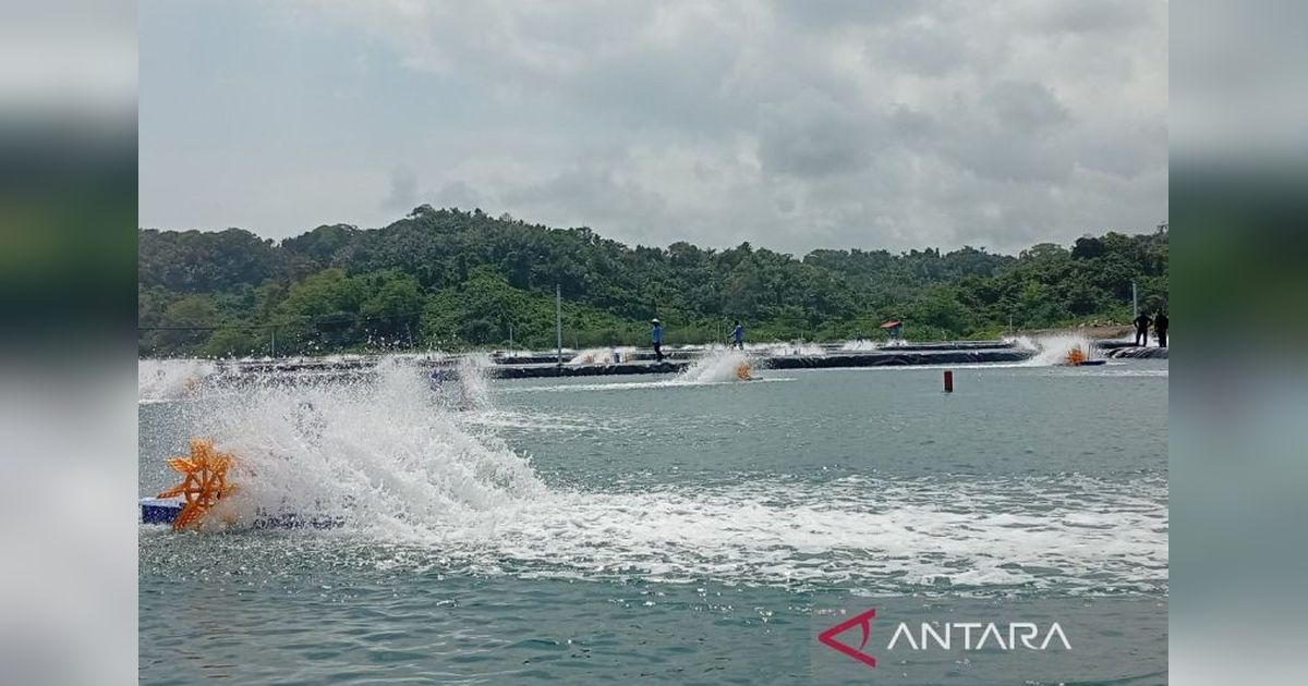 Warga Binaan Sulap Nusakambangan Jadi Pusat Ketahanan Pangan Nasional