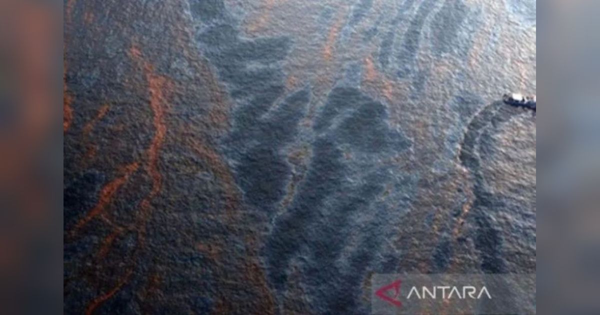 Nelayan Tuntut Kompensasi Tumpahan Minyak Montara Rp900 Triliun, YPTB Desak Pemerintah Bertindak