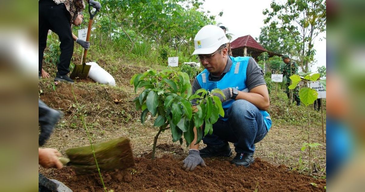 Peringati Hari Pahlawan, PLN Tanam Pohon di Berbagai Wilayah Jatim untuk Lingkungan Berkelanjutan