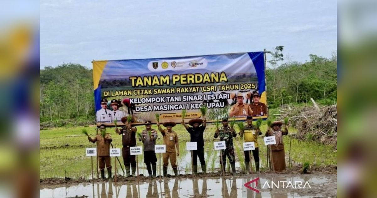 Optimalkan Lahan Tidur, Program Cetak Sawah Rakyat Tabalong Dukung Swasembada Pangan Nasional