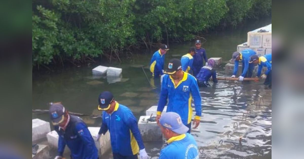 Antisipasi Abrasi, Pemkab Pulau Seribu Bangun Tanggul Kokoh di Pulau Harapan