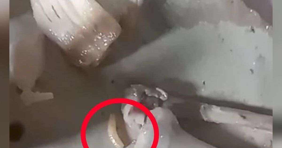 Menu MBG di Sukabumi Ada Belatung, SPPG Beri Penjelasan