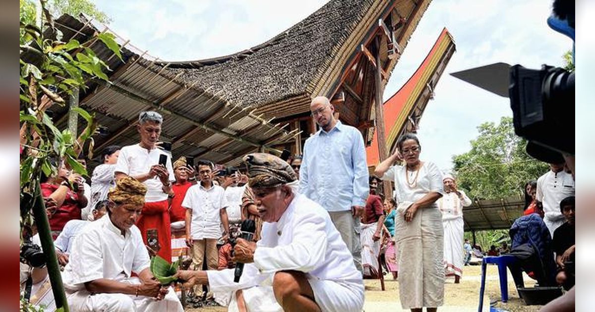 Pandji Pragiwaksono Datangi Tana Toraja, Minta Maaf dan Jalani Peradilan Adat Didenda 1 Ekor Babi Serta 5 Ekor Ayam