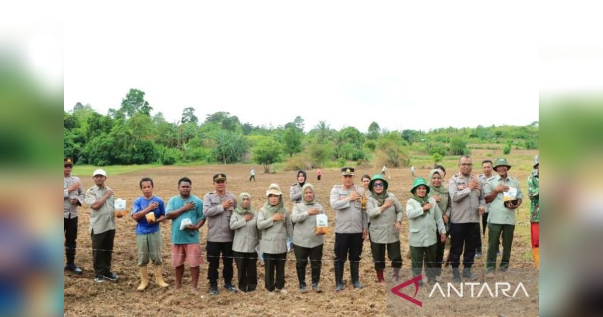Polresta Ambon Dukung Ketahanan Pangan Nasional dengan Tanam Jagung Hibrida
