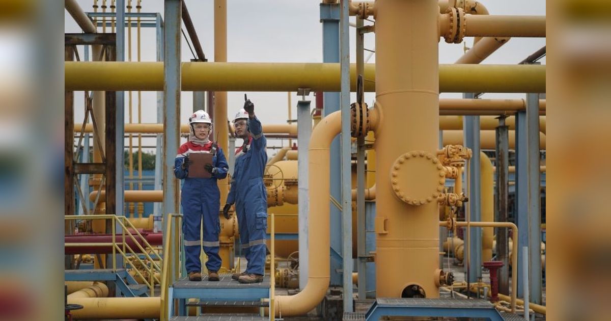 Penyaluran Gas Bumi Pertagas Perkuat Industri di KEK Sei Mangkei Sumatera Utara