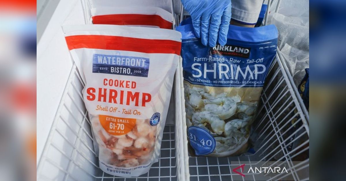 KKP Laporkan 1.852 Kontainer Ekspor Udang Indonesia Tembus Pasar Amerika Serikat Berkat Sertifikasi Cs-137
