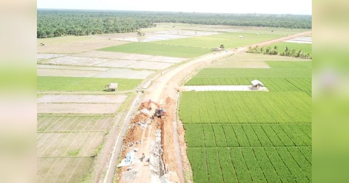 Pemkab Mukomuko Gencarkan Pembinaan Petani Cegah Alih Fungsi Lahan Sawah Jadi Sawit