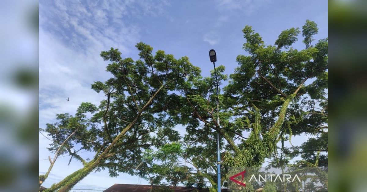 Pemkot Bengkulu Pasang 17 Lampu PJU Pasar Subuh, Tingkatkan Keamanan dan PAD