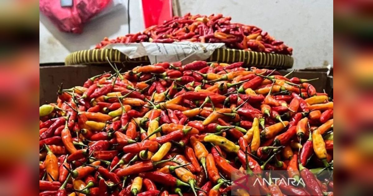 PIHPS Rilis Data Terbaru: Harga Pangan Nasional, Bawang Merah dan Cabai Rawit Merah Melonjak