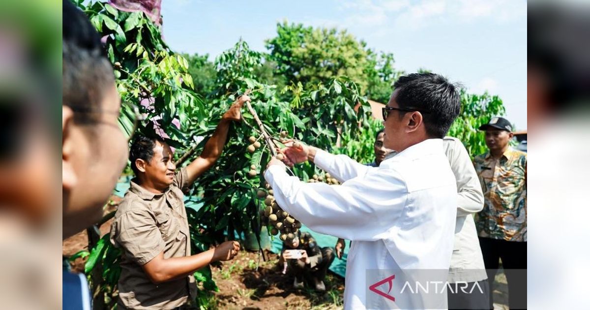 Pemerintah Intensifkan Pendekatan Berbasis Wilayah untuk Pengentasan Kemiskinan Ekstrem