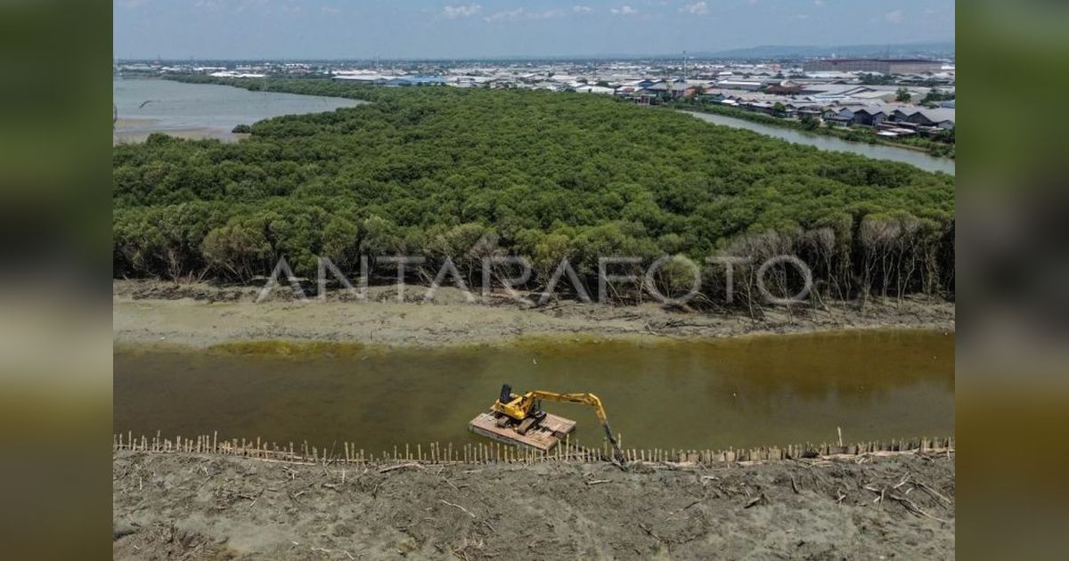 Indonesia Percepat Implementasi Karbon Biru, Pilar Utama Transisi Iklim Nasional