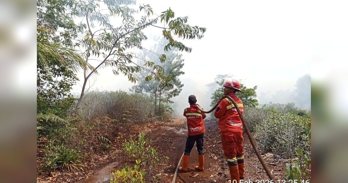 Pemkab Pelalawan Tetapkan Status Siaga Darurat Karhutla, Riau Bersiap Menyusul