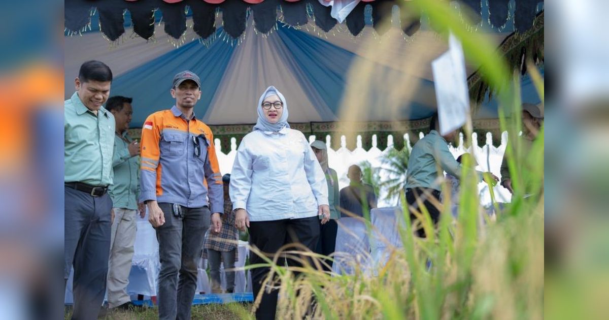 {{caption}}