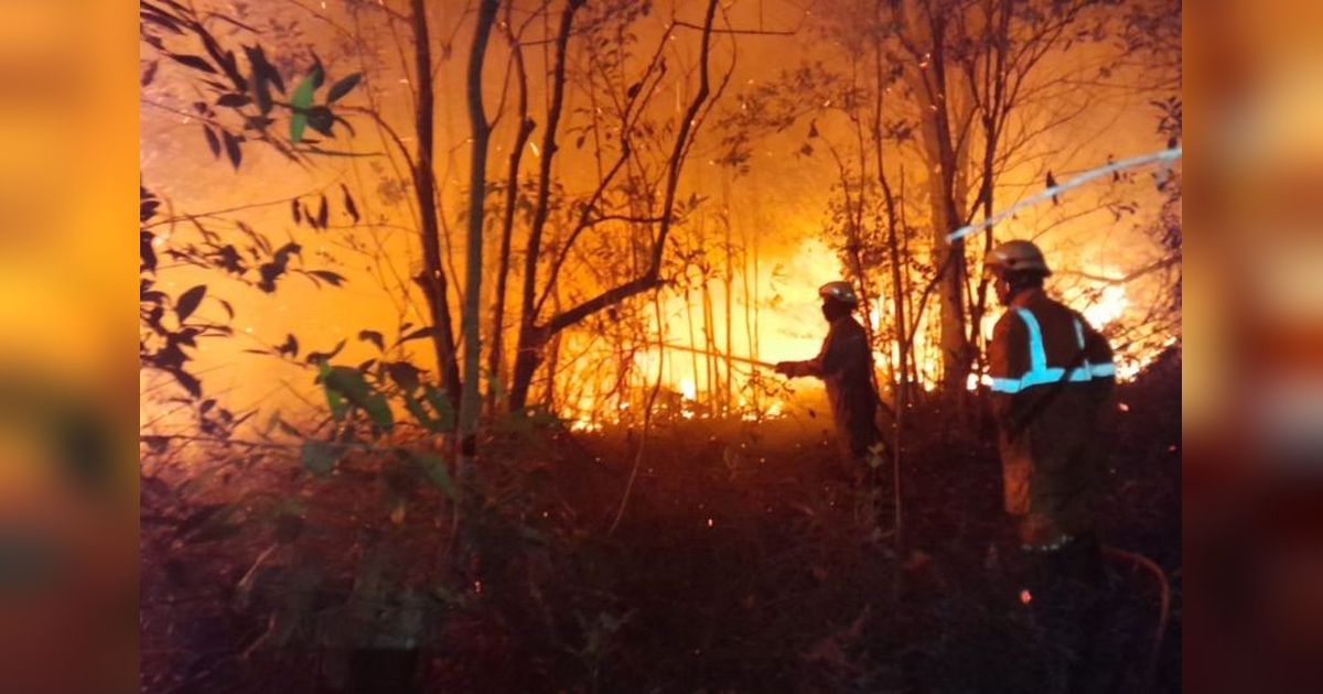Damkar Tanjung Uban Berjuang Padamkan Kebakaran Lahan Empat Hektare hingga Malam Hari