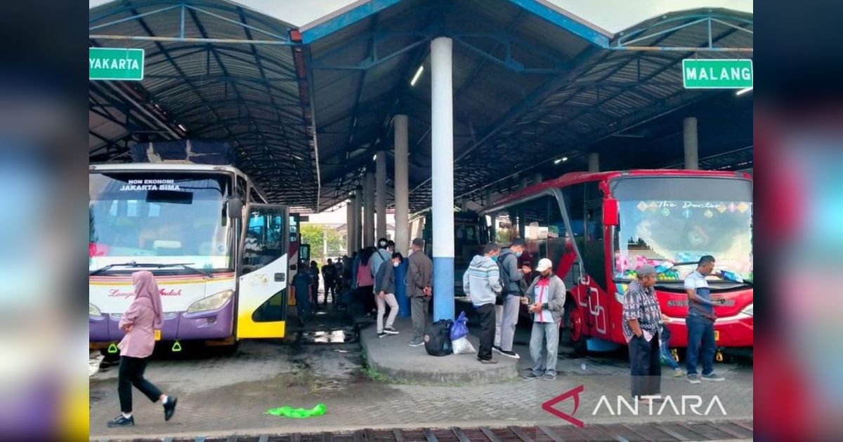 Operasi Bus Tak Berizin Bima-Mataram Terus Berlanjut, Terminal Dara Desak Penertiban