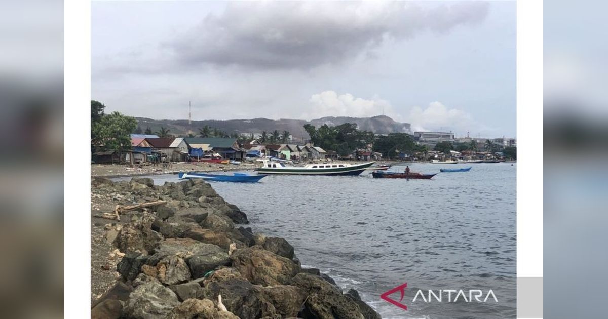 Walhi Mendesak Pemerintah Perketat Pengawasan Pertambangan Pulau Obi