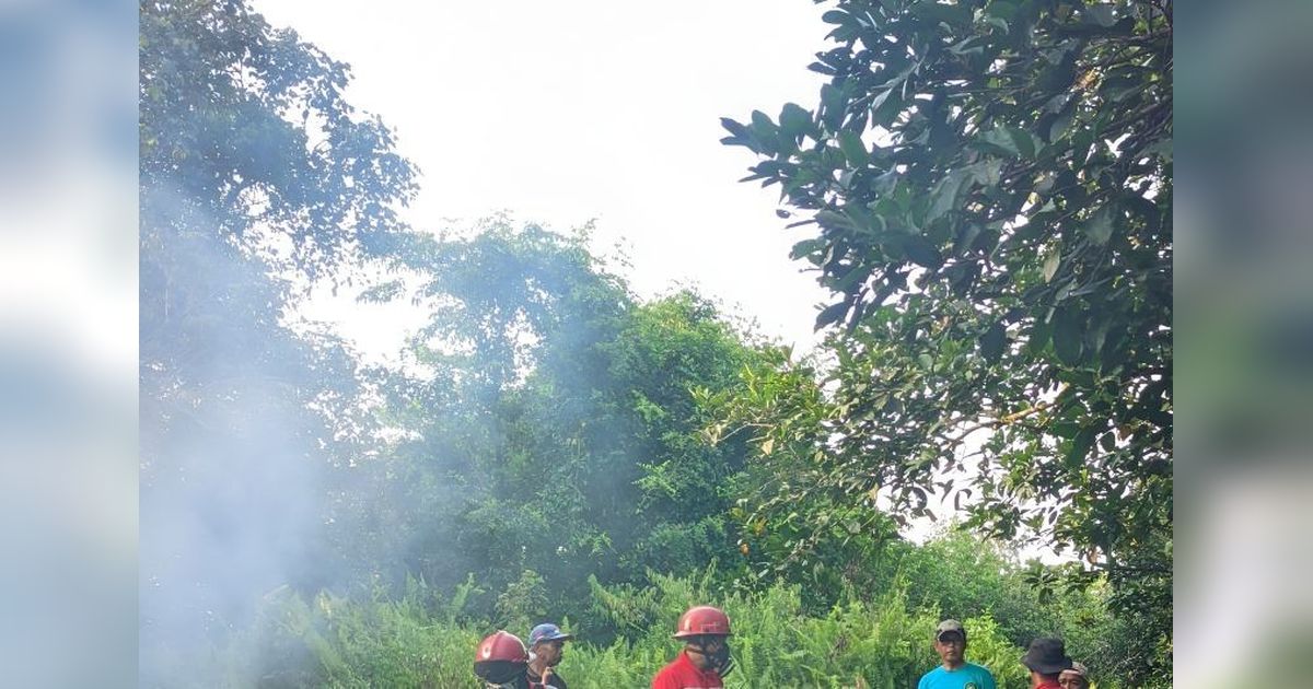 Manggala Agni Intensifkan Pemadaman Karhutla Singkawang Utara di Lahan Gambut