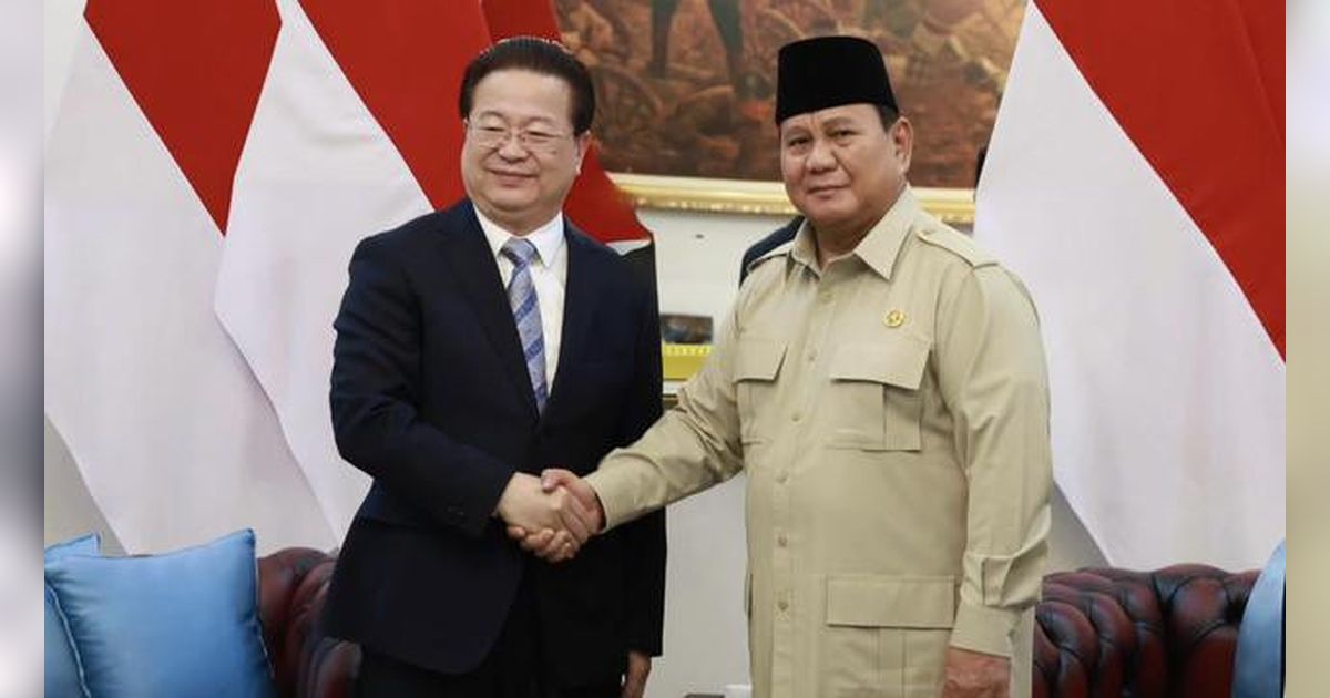 Bertemu di Istana, Prabowo dan Menteri Keamanan Negara China Bahas Isu Strategis