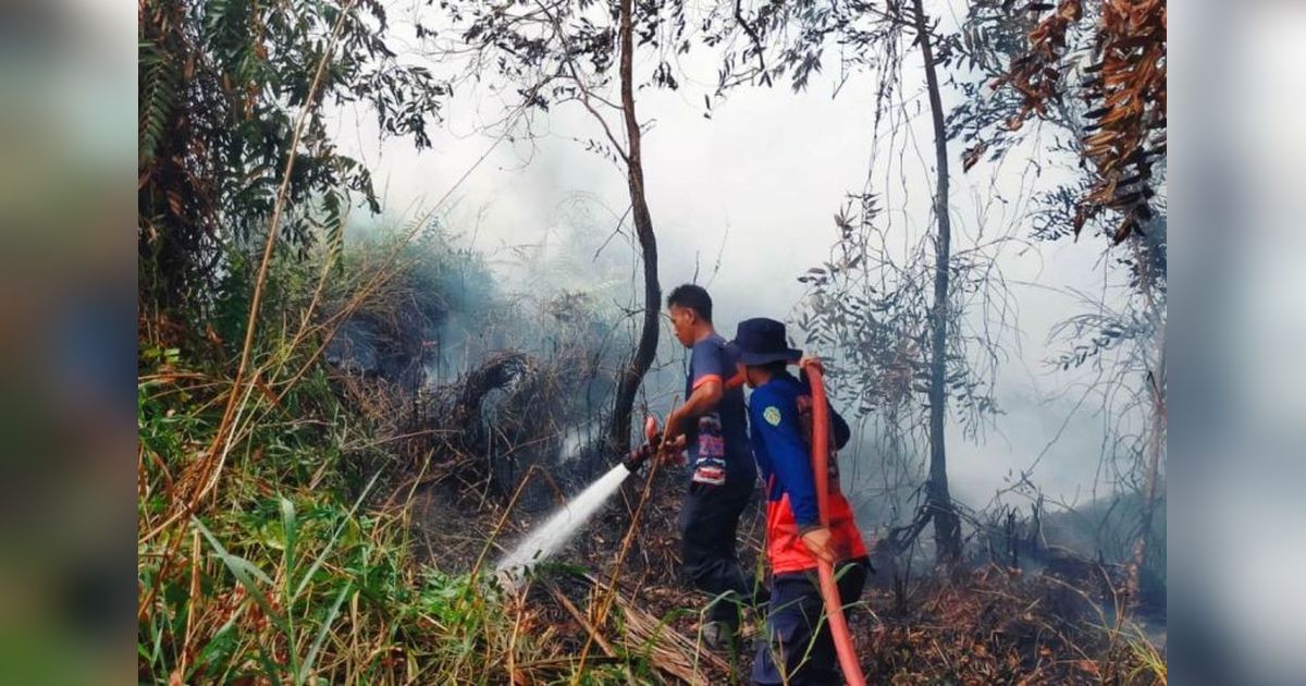 BMKG Ingatkan Potensi Karhutla Kaltim, Ratusan Titik Panas Tersebar