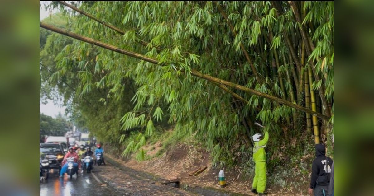 Akses Jalan Garut-Bandung Kembali Normal Usai Evakuasi Pohon Tumbang
