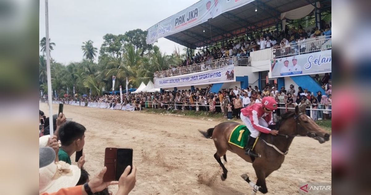 Pacu Kudo 2026 Dongkrak Pariwisata dan Ekonomi UMKM Padang Pariaman dan Kota Pariaman