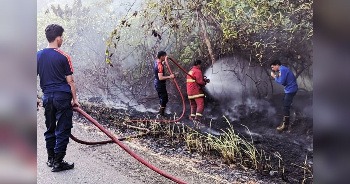 Pemkab Natuna Beri Hadiah Rp5 Juta untuk Pelapor Pembakar Lahan, Perkuat Pencegahan Karhutla Natuna