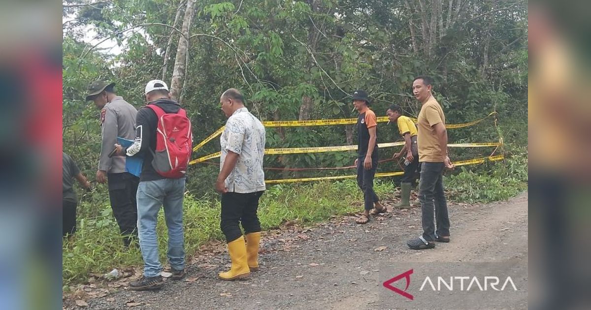 Jalan Penghubung Antar Desa di OKU Nyaris Putus Akibat Longsor, BPBD Sigap Bertindak