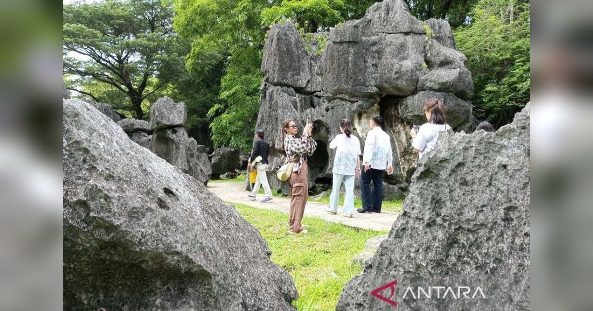Kunjungan Wisman Sulsel Tembus Ribuan di Awal 2026, Malaysia dan Tiongkok Dominasi
