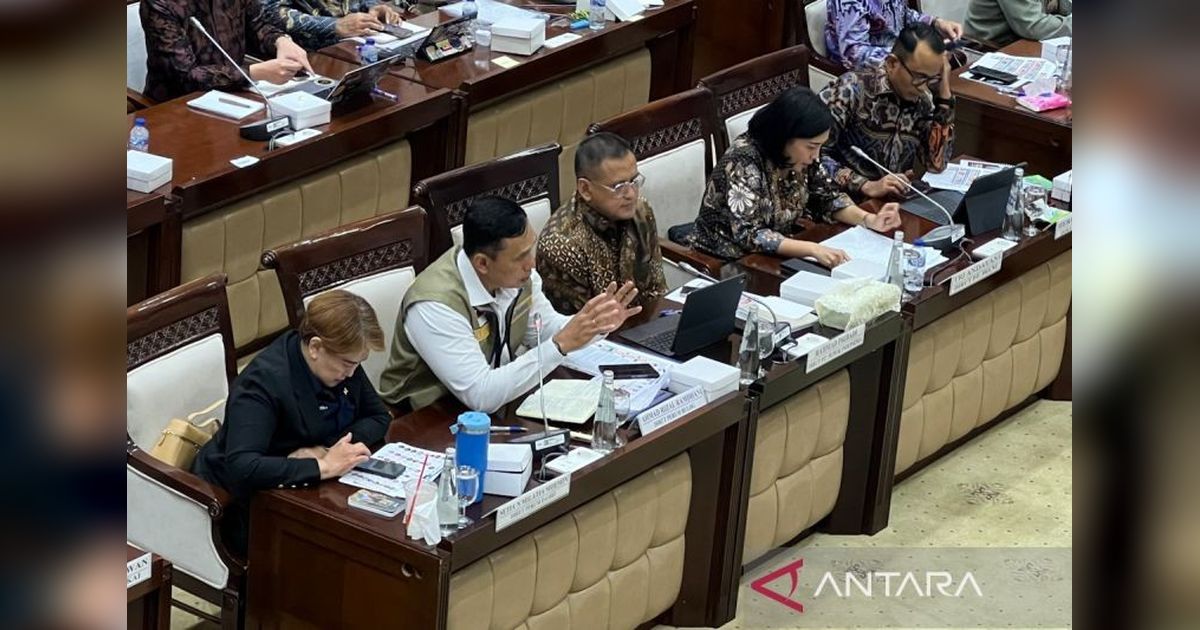 Stok Beras Nasional Aman 4,3 Juta Ton, Bulog Minta Masyarakat Tidak Panik