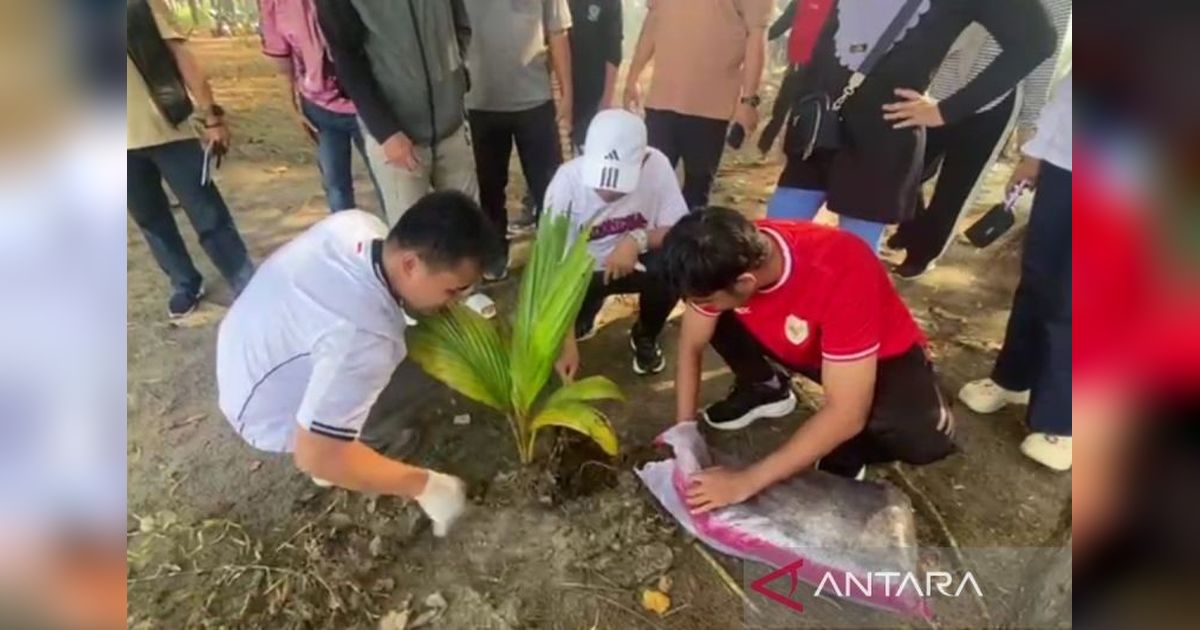 Gotong Royong Pemkot Bengkulu Perkuat Komitmen Penghijauan dan Kebersihan Pantai Wisata