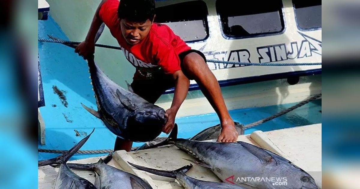 Komoditas Perikanan Pemicu Utama Deflasi Maluku Maret 2026