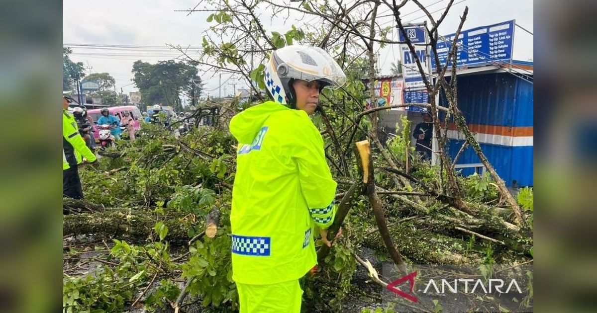 Polres Cianjur Rekayasa Arus Akibat Pohon Tumbang Cianjur, Satu Korban Tewas