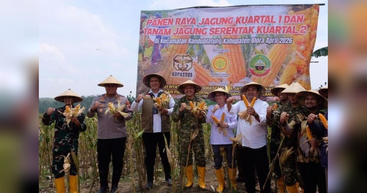Bulog Komitmen Serap Seluruh Produksi Jagung Petani Blora untuk Pakan dan Bioetanol
