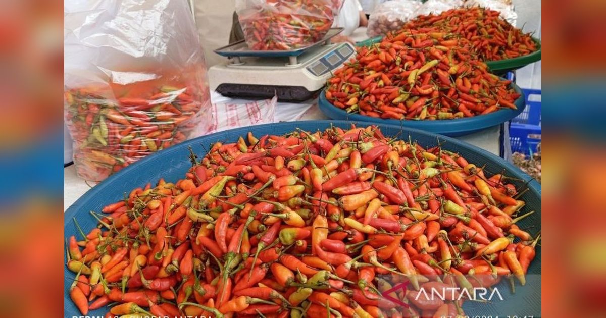 Strategi 4K BI Kaltim Terbukti Efektif Kendalikan Inflasi di Tengah Tiga Hari Besar Keagamaan