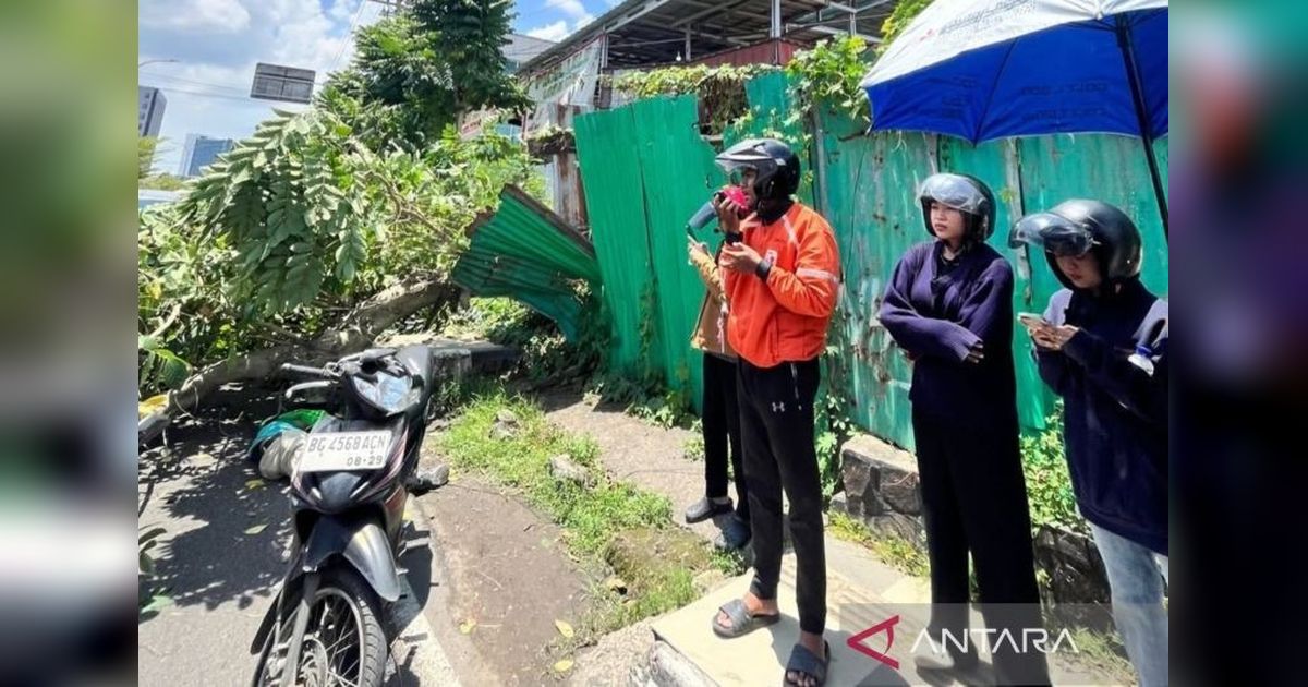 Insiden Pohon Tumbang Palembang Tewaskan Pengemudi Ojol, Pemkot Perintahkan Evaluasi Menyeluruh