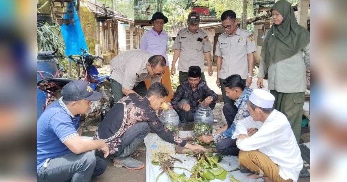 Pemanfaatan Eceng Gondok Petani Probolinggo: Solusi Alami Tingkatkan Kesuburan Lahan